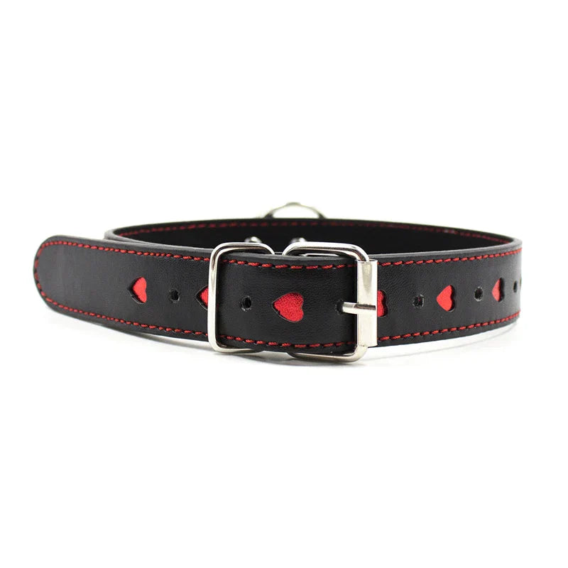 Halsband mit Leine und verstellbarem Bereich von 35-48 cm