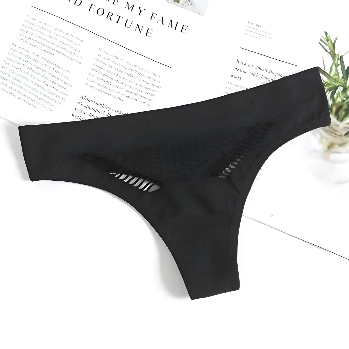 Black Lace Briefs with Mesh Front