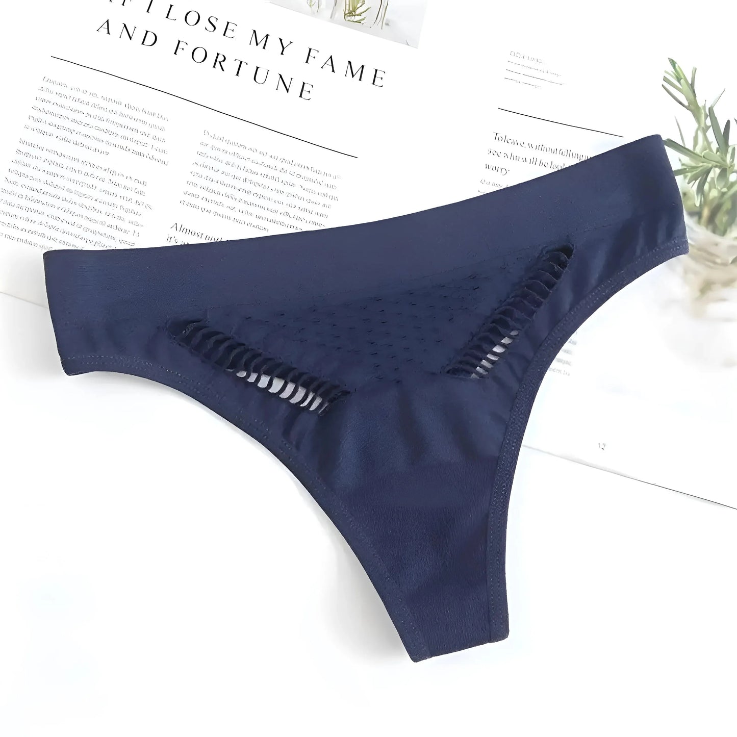 Blue Lace Briefs with Mesh Front