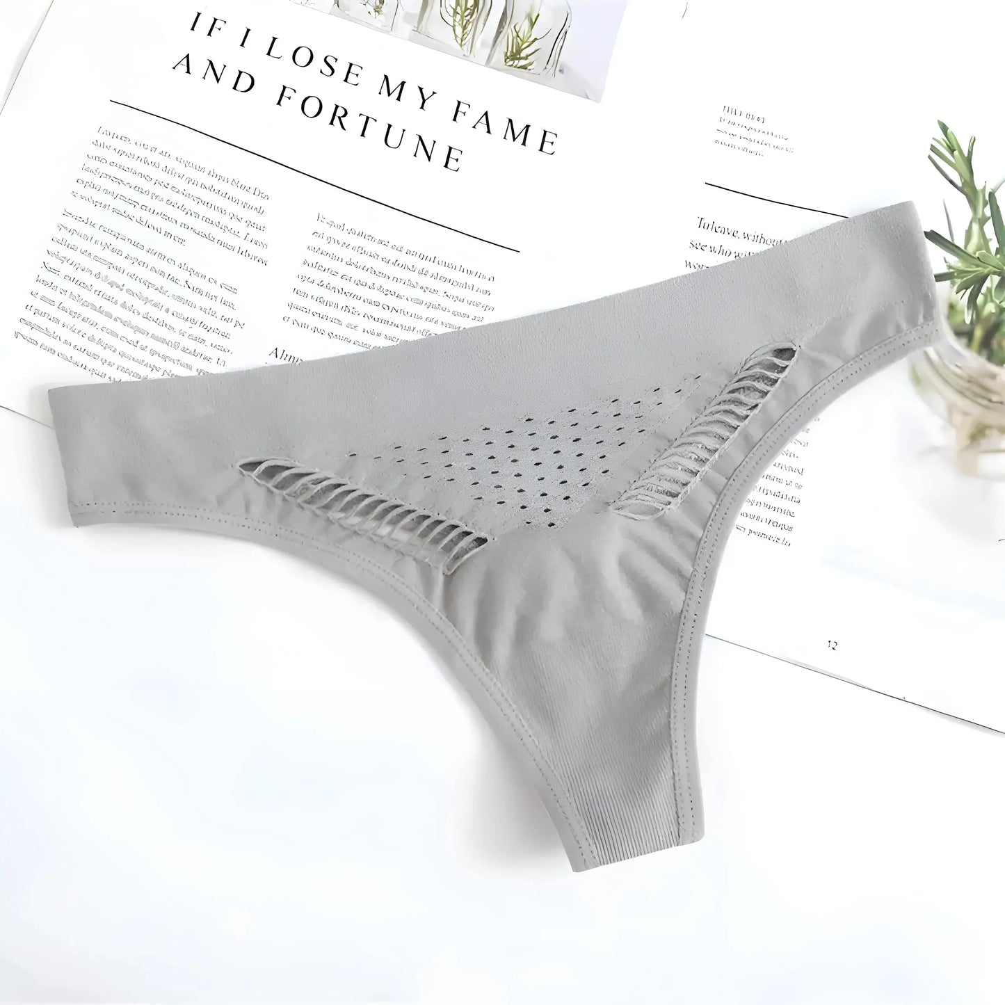 Grey Lace Briefs with Mesh Front