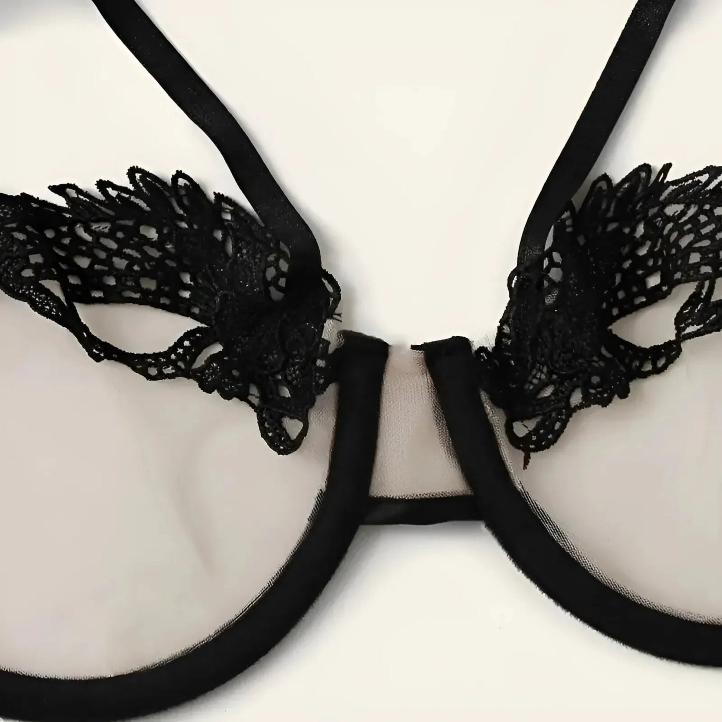 Lace and Mesh Lingerie Set