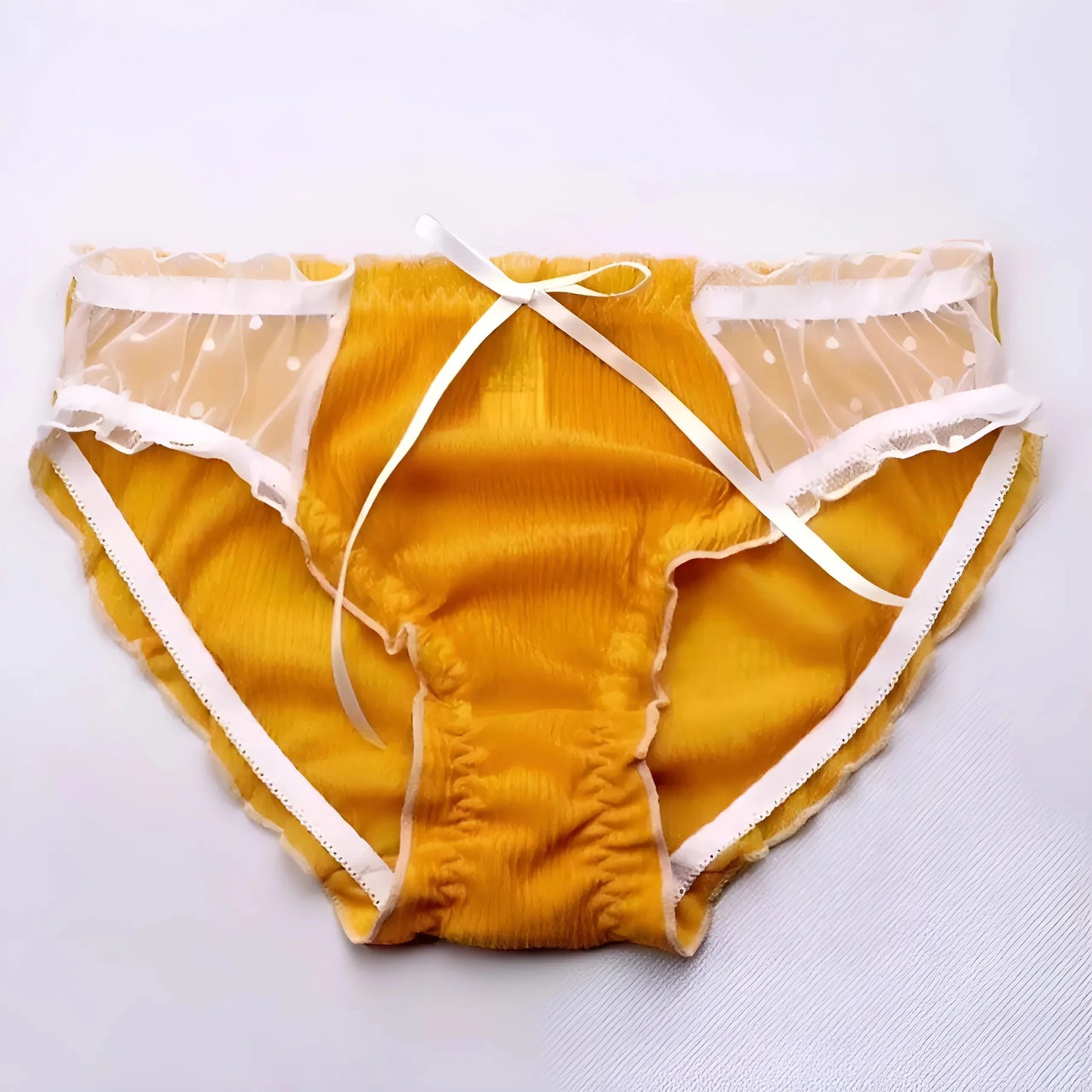 Lace Mesh Briefs