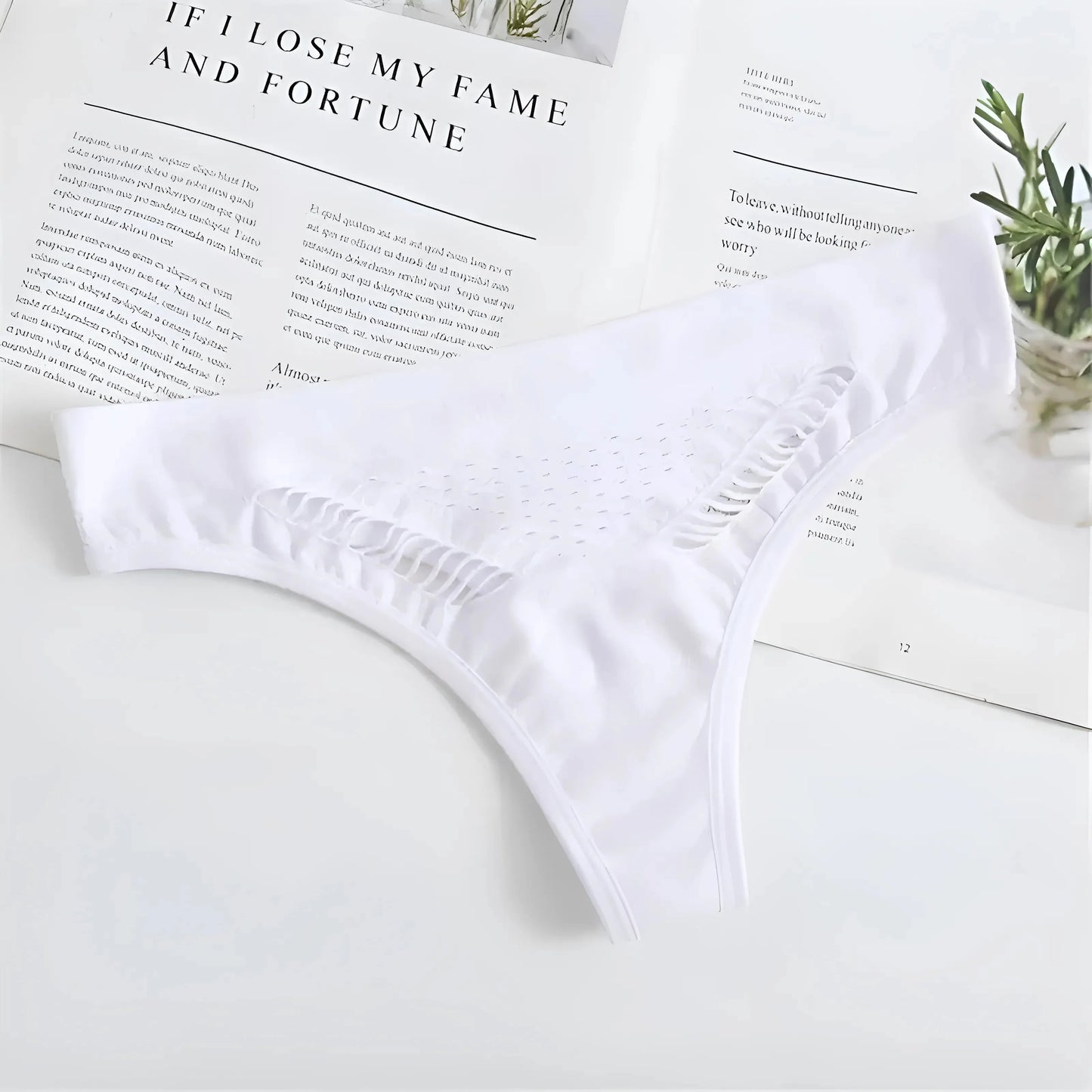 White Lace Briefs with Mesh Front