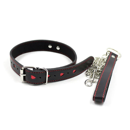 Halsband mit Leine und verstellbarem Bereich von 35-48 cm