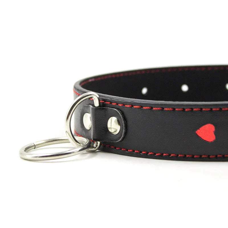 Halsband mit Leine und verstellbarem Bereich von 35-48 cm