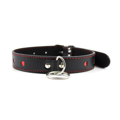 Halsband mit Leine und verstellbarem Bereich von 35-48 cm