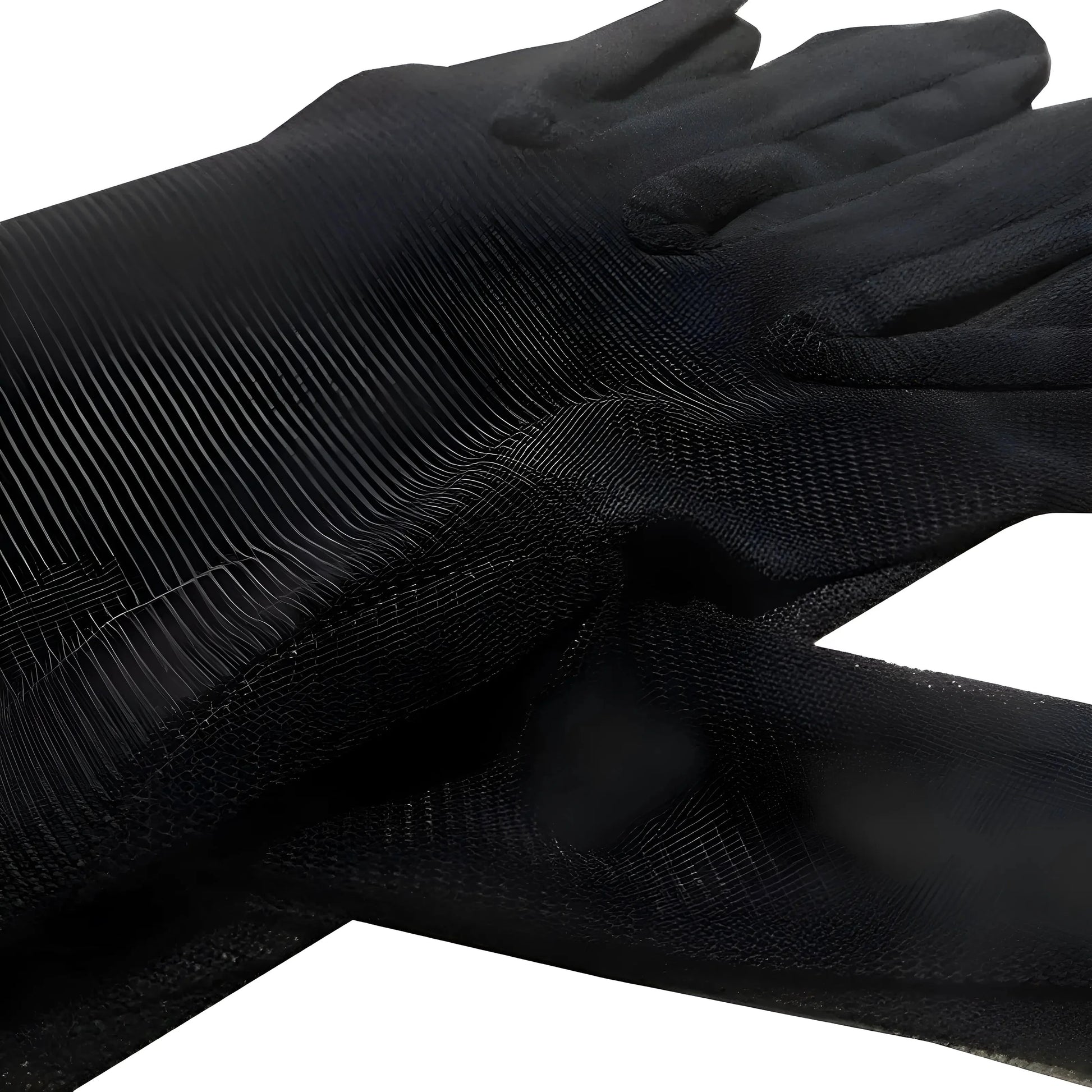 Black Long Transparent Gloves