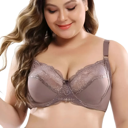 Brown Lace Bra in Plus Sizes