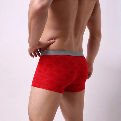  Herren-Boxershorts aus Baumwolle