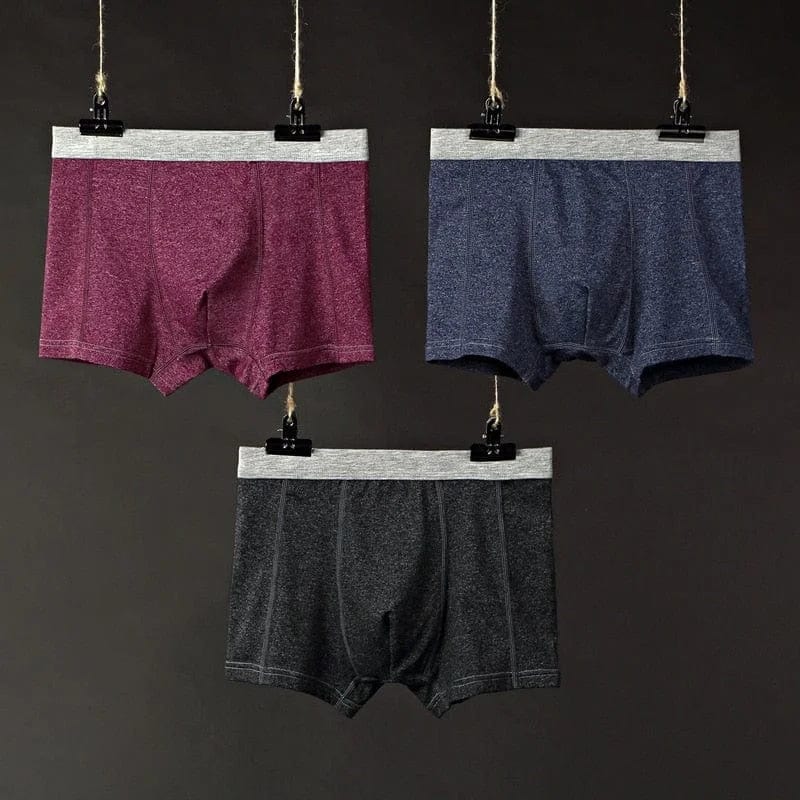  Herren-Boxershorts aus Baumwolle