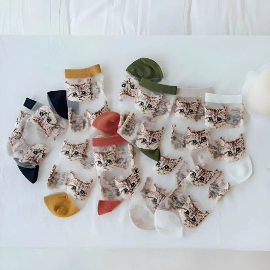 Long Transparent Cat Socks