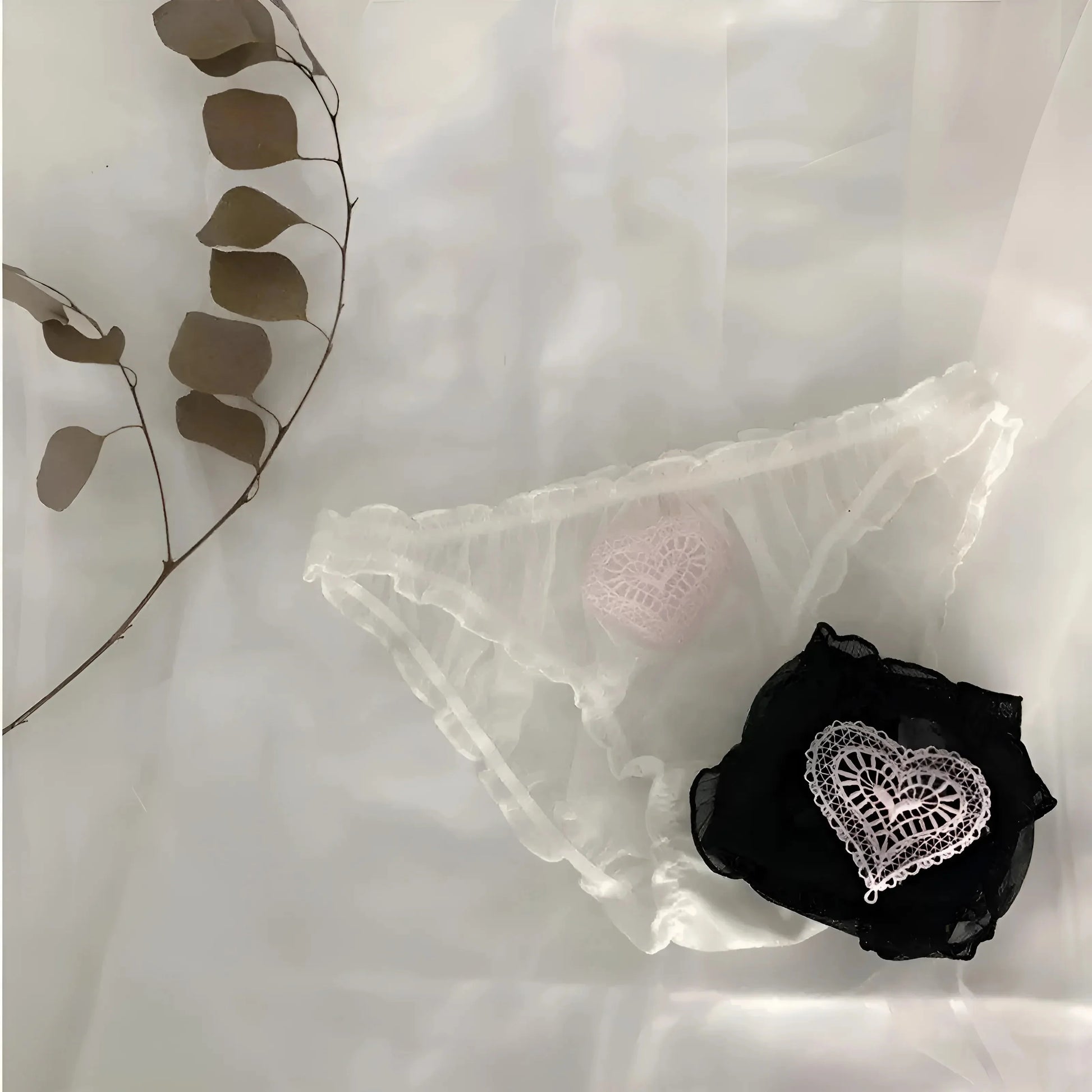 Transparent Figs with Heart